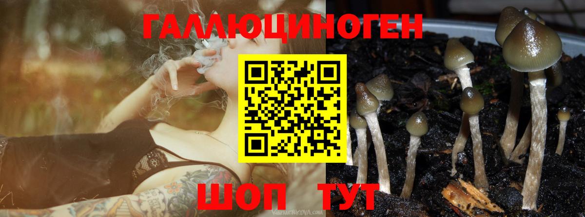 Галлюциногенные грибы ЛСД  магазин    Надым  Вход с VPN 